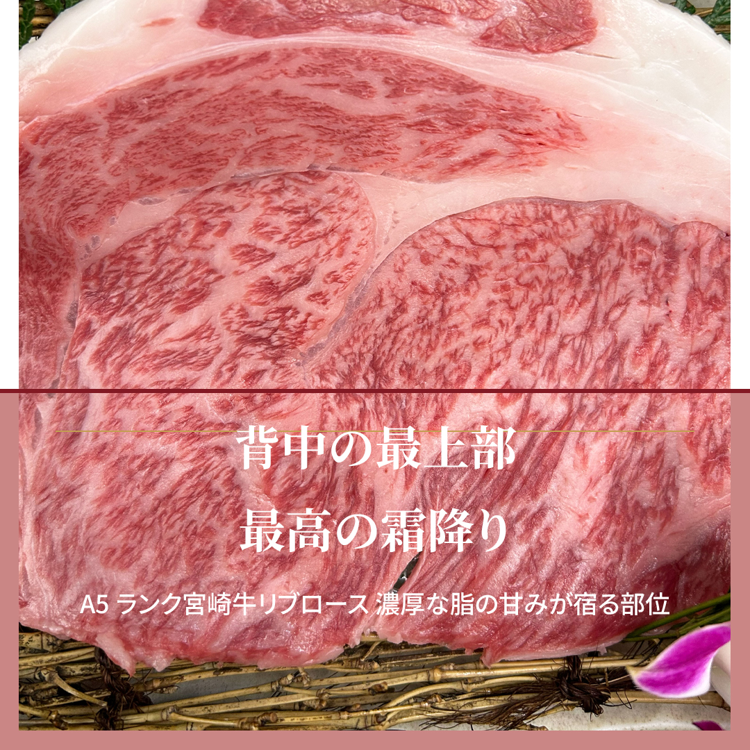 宮崎牛 リブロース 焼肉用 A4等級以上 300g 150g×2枚(2~4人前)|日本一に輝いたブランド和牛・ギフト - 商品写真 5/19
