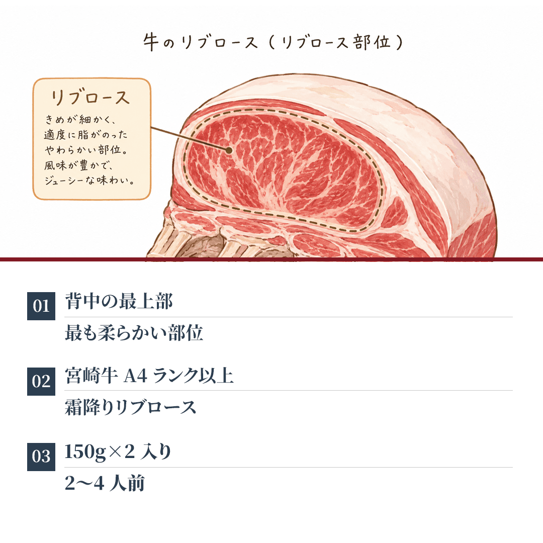 宮崎牛 リブロース 焼肉用 A4等級以上 300g 150g×2枚(2~4人前)|日本一に輝いたブランド和牛・ギフト - 商品写真 9/19