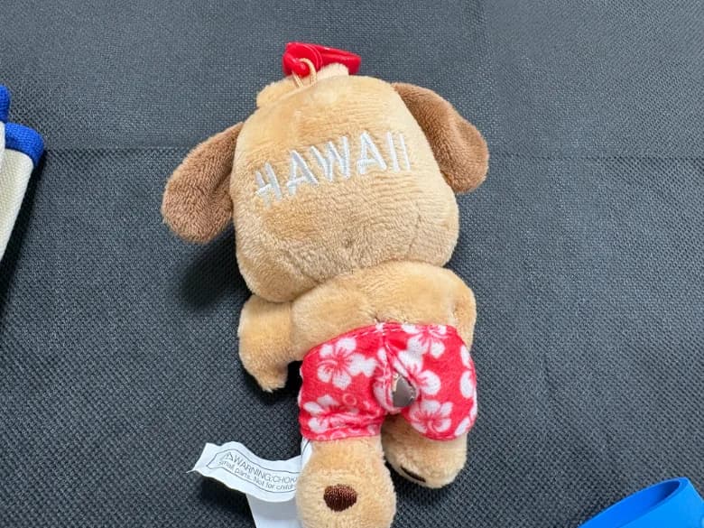 HAWAII ハワイ ポチャッコのミニトートバッグ+キーホルダー+マスコット - 商品写真 7/11